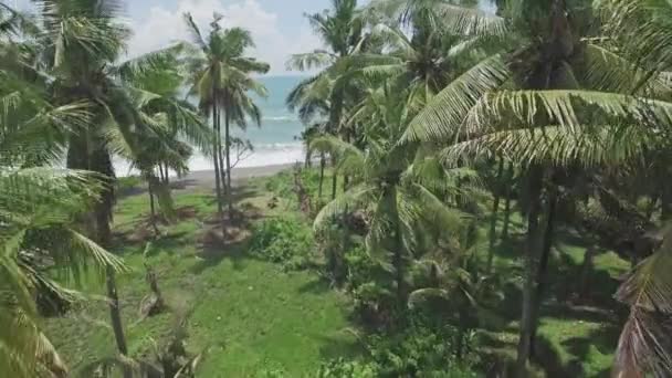 Αεροφωτογραφία του μια παραλία στο Μπαλί — Αρχείο Βίντεο
