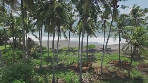 Flygfoto över en strand på Bali — Stockvideo