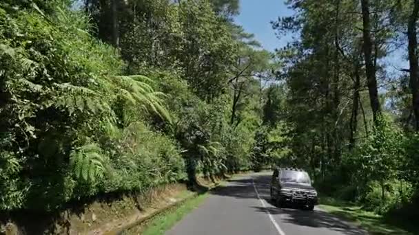 Carretera en Bali en Indonesia — Vídeo de stock