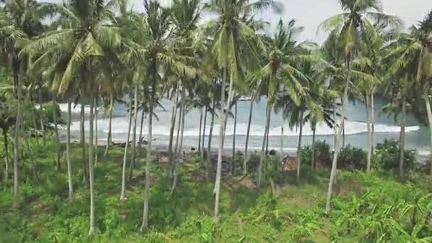 Vista aérea de una playa en Bali — Vídeos de Stock