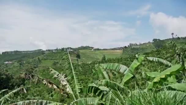 Paisagem típica indonésia — Vídeo de Stock