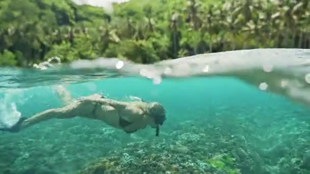 Chica haciendo snorkel con un pez en el arrecife de coral — Vídeo de stock