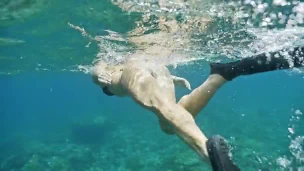 Girl snorkeling with a fish on the coral reef — Stock Video