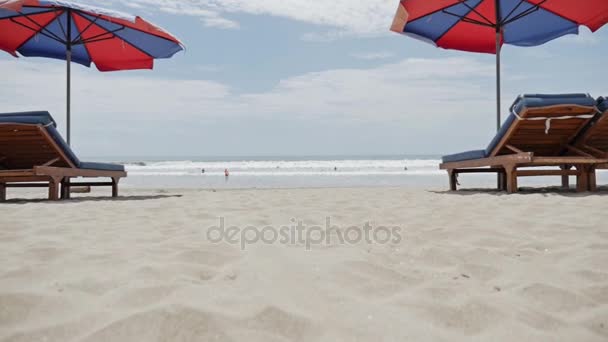 Beach chairs and umbrellas on Bali — Stock Video
