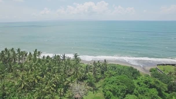 Aerial view of the coast in Bali — Stock Video