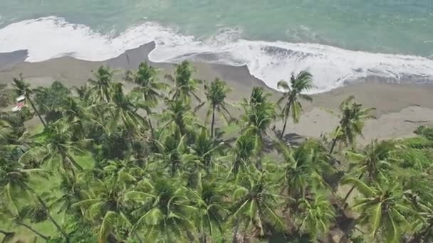 Vista aerea di una spiaggia di Bali — Video Stock