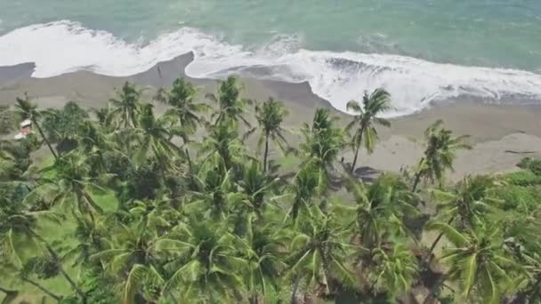 Widok z lotu ptaka z plaży na wyspie Bali — Wideo stockowe