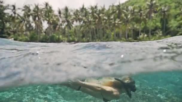 Κορίτσι με αναπνευτήρα με ένα ψάρι σε ένα κοραλλιογενή ύφαλο — Αρχείο Βίντεο