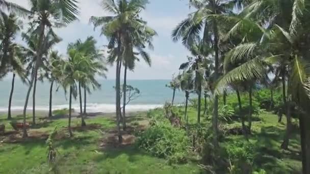 Aerial view of a beach on Bali — Stock Video