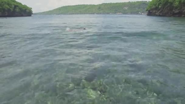 Chica snorkel en el agua en Bali — Vídeos de Stock