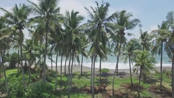 Αεροφωτογραφία από την ακτή στο Μπαλί — Αρχείο Βίντεο