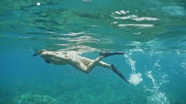 Chica haciendo snorkel con un pez en el arrecife de coral — Vídeo de stock