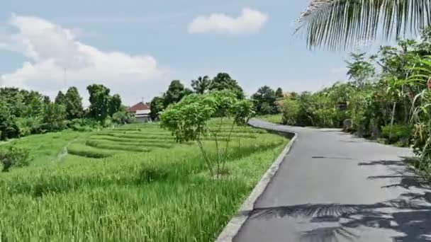 Straße auf bali in indonesien — Stockvideo