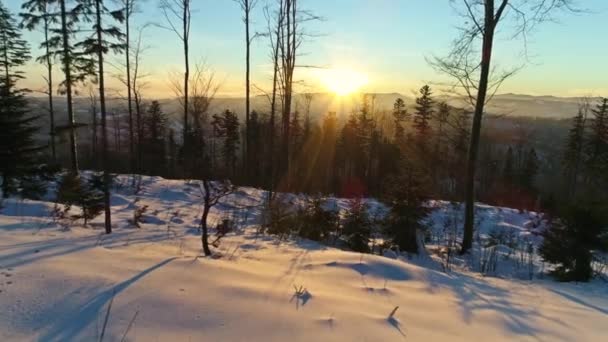 Paesaggio invernale durante un tramonto in montagna — Video Stock