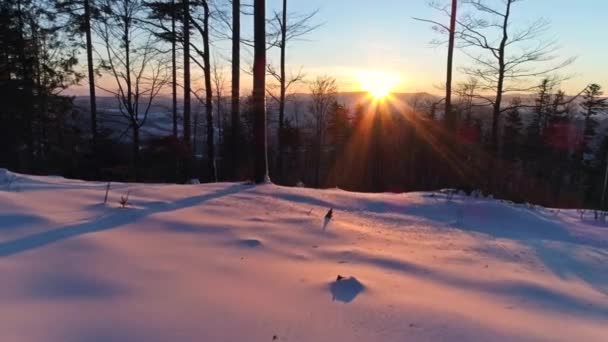 Paisaje invernal durante una puesta de sol en las montañas — Vídeo de stock