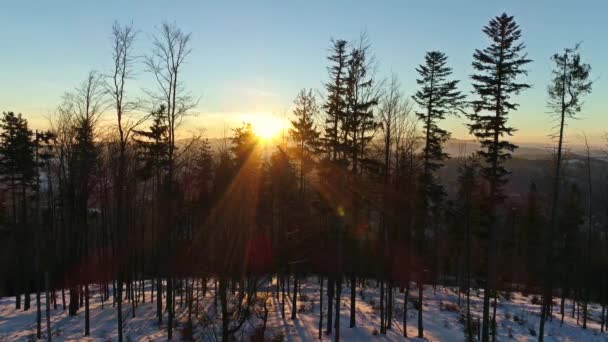 Vinterlandskap under en solnedgång i bergen — Stockvideo
