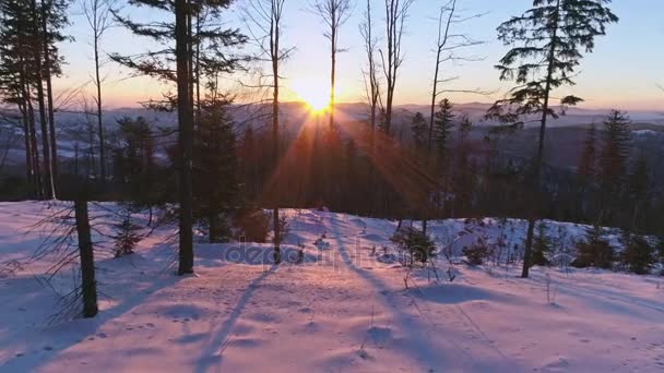 Paisaje invernal durante una puesta de sol en las montañas — Vídeo de stock