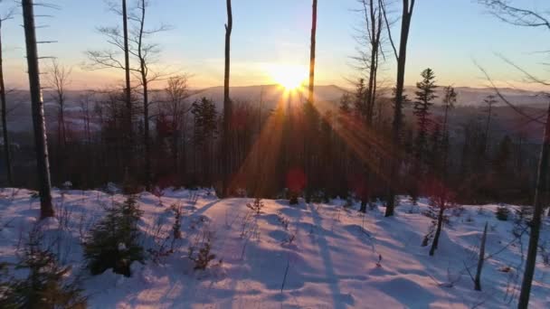 Paesaggio invernale durante un tramonto in montagna — Video Stock