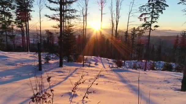 Зимний пейзаж во время заката в горах — стоковое видео