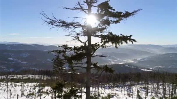 Paisagem de inverno em montanhas polonesas — Vídeo de Stock