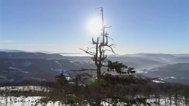 Зимовий пейзаж у польських горах — стокове відео