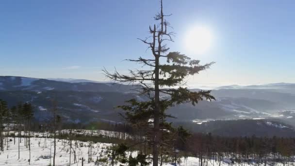 Winterlandschaft in den polnischen Bergen — Stockvideo