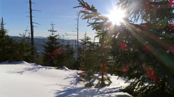 Vinterlandskap i polska bergen — Stockvideo