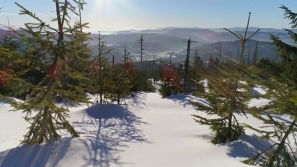 Paisaje invernal en montañas polacas — Vídeos de Stock