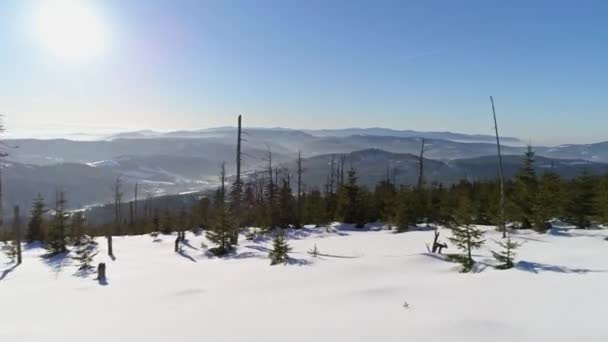 Vinterlandskap i polska bergen — Stockvideo