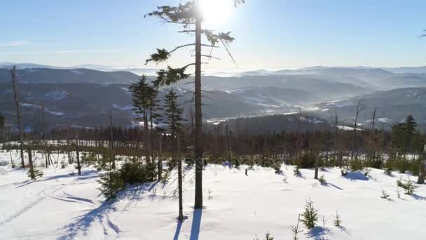 Paisaje invernal en montañas polacas — Vídeos de Stock