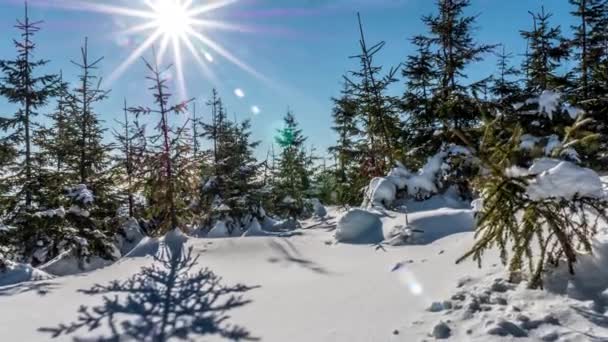 Panorama de invierno en las montañas polacas — Vídeos de Stock