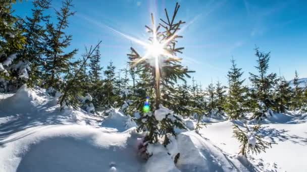 Panorama van de winter in de bergen van Pools — Stockvideo
