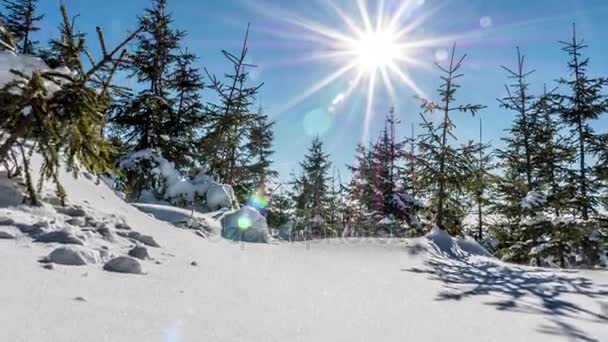 Зимняя панорама в польских горах — стоковое видео