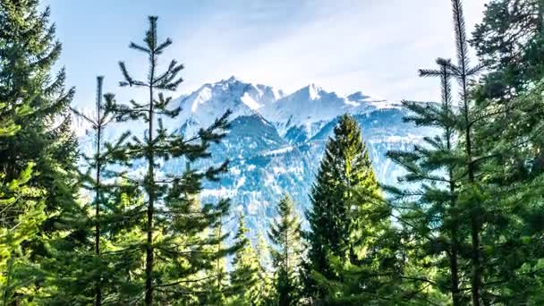 Деревья с красивым видом на горы на заднем плане — стоковое видео