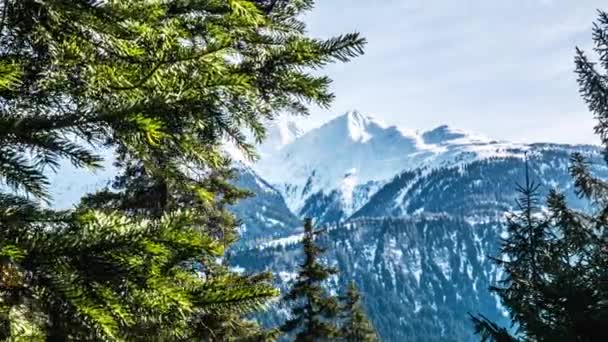 Árboles con una hermosa vista de la montaña en el fondo — Vídeos de Stock