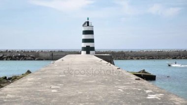 İskelede martı kuşları