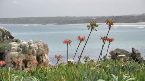 葡萄牙的海景 — 图库视频影像