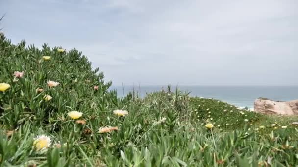 葡萄牙的海景 — 图库视频影像