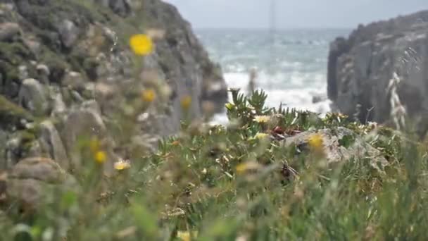 Portekizce okyanus görmek — Stok video