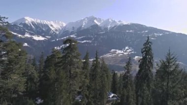 Bir orman Dağları ile havadan görüntüleri