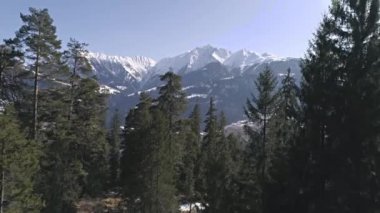 Bir orman Dağları ile havadan görüntüleri