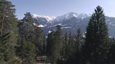 Bir orman Dağları ile havadan görüntüleri