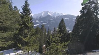 Bir orman Dağları ile havadan görüntüleri