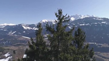 Bir orman Dağları ile havadan görüntüleri