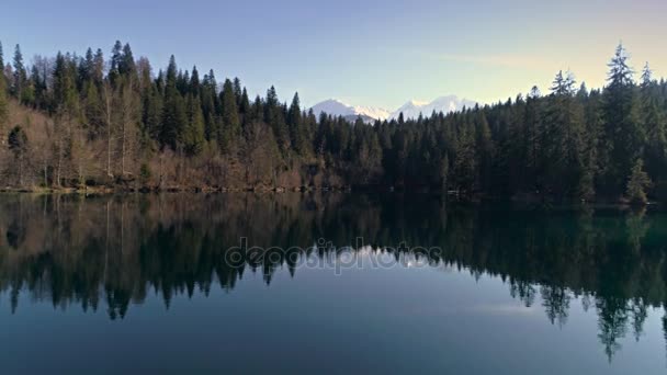 Красивое озеро в лесу с горами — стоковое видео