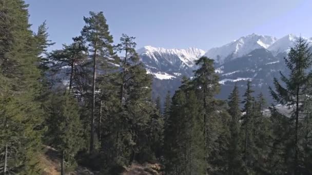 Filmagem aérea de uma floresta com montanhas — Vídeo de Stock