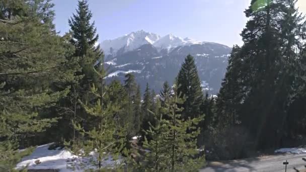 Aerial film av en skog med berg — Stockvideo