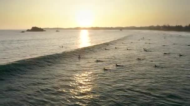 Filmagem Aérea Surfista Surfando Durante Pôr Sol Baía Weligama Sri — Vídeo de Stock
