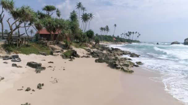 Luchtfoto Beelden Van Sommige Palmen Naast Oceaan Sri Lanka Slowmotion — Stockvideo