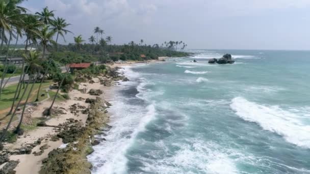 Aerial Bilder Vacker Strand Sri Lanka Slowmotion Film — Stockvideo